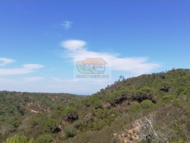 Terreno venda em Valinho, Santiago Do Cacém