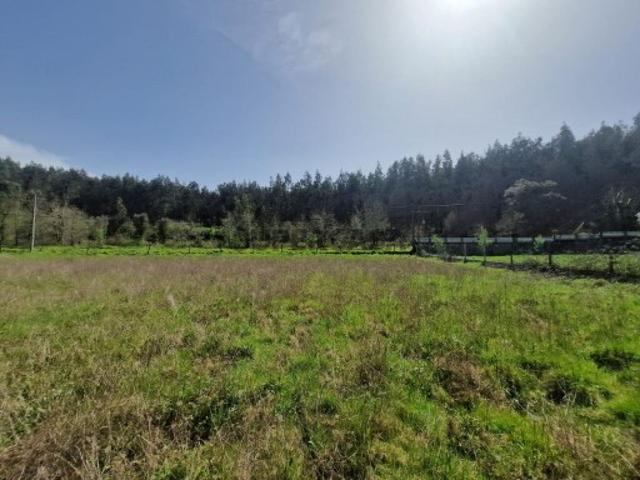 Terreno venda em Tábua, Coimbra