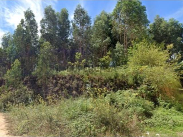 Terreno venda em São João Da Madeira
