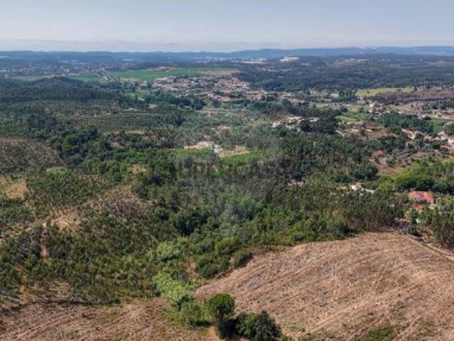Terreno venda em Larojo, Rio Maior