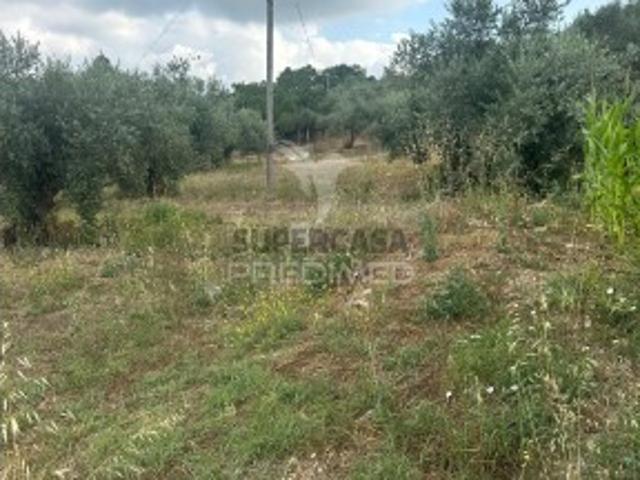 Terreno venda em Rio Maior, Santarém