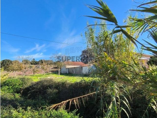 Terreno venda em Larojo, Rio Maior
