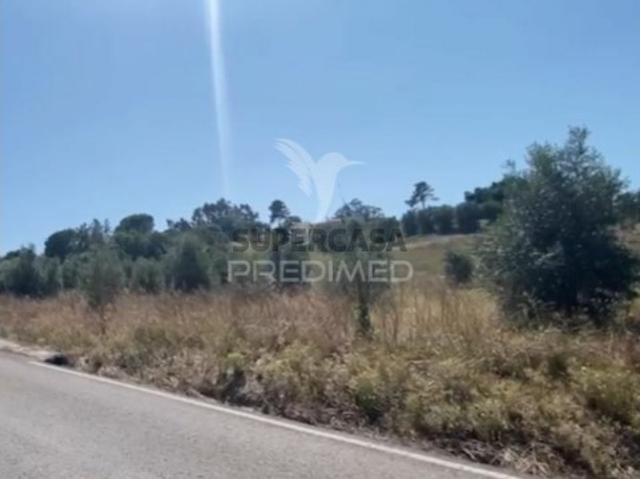 Terreno venda em Rio Maior Terreno venda em Rio Maior