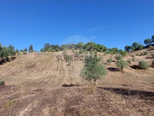 Terreno venda em Larojo, Rio Maior