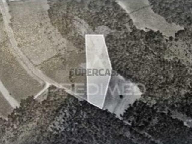 Terreno venda em Albergaria-a-velha, Aveiro