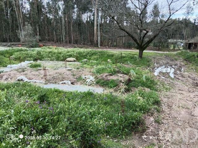 Terreno venda em Couto Do Mosteiro, Viseu