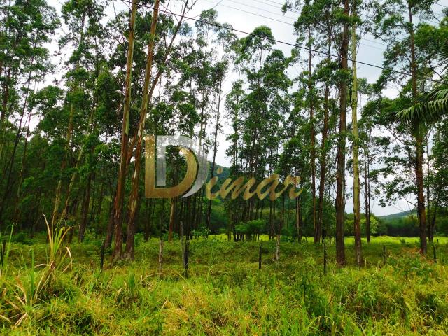 Terreno venda em São João Batista
