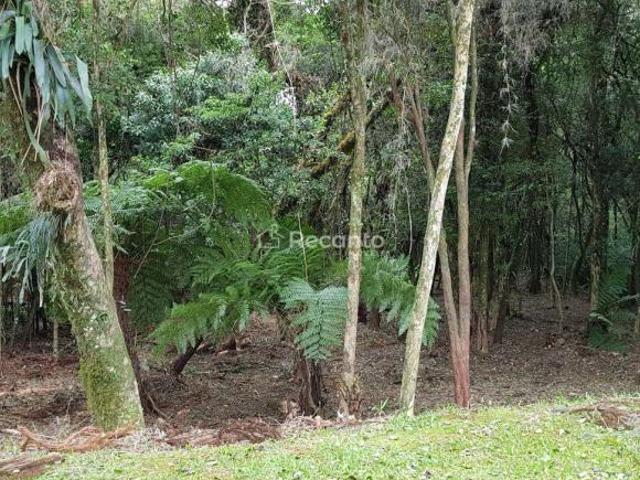 Terreno venda em Canela