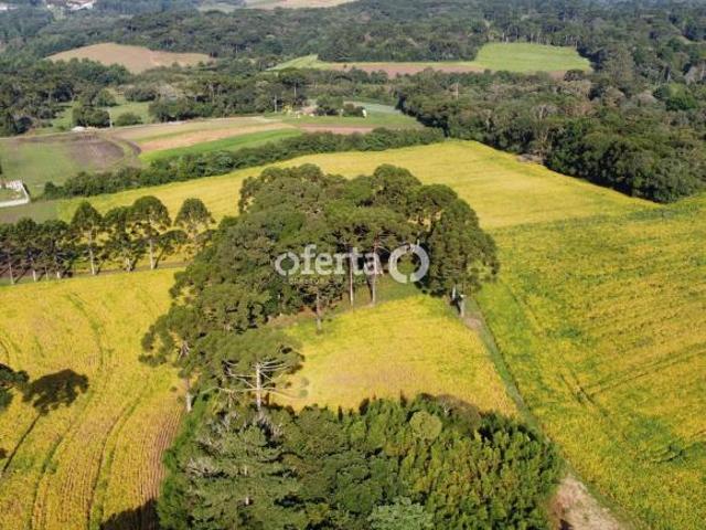 Terreno venda em Região Geográfica Imediata de Curitiba, Região Metropolitana de Curitiba