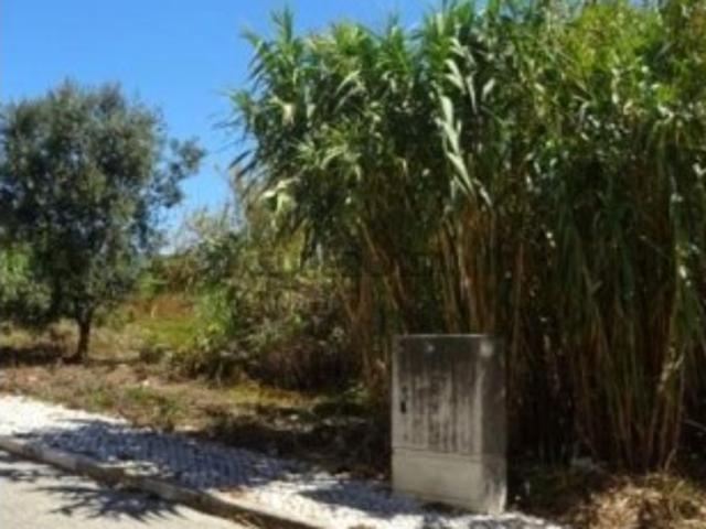 Terreno venda em Figueira da Foz, Coimbra