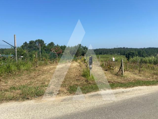 Terreno venda em Anadia, Aveiro
