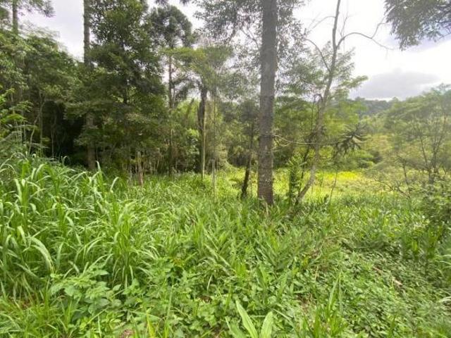 Terreno venda em Região Imediata de São Paulo, Região Metropolitana de São Paulo
