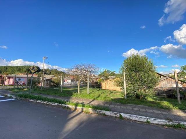 Terreno venda em Canela