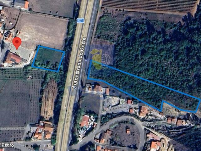 Terreno venda em Bombarral, Leiria