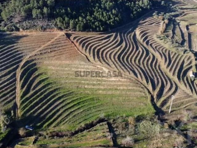 Terreno venda em Alijó, Vila Real