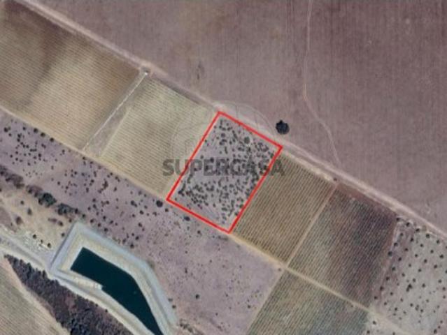 Terreno venda em Évora