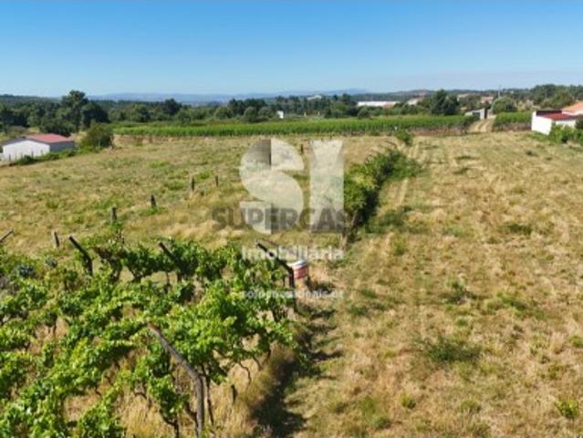 Terreno venda em Sabrosa, Vila Real