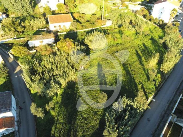 Terreno venda em Coimbrã, Ribeira De Frades