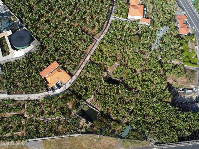 Terreno venda em Estreito de Câmara de Lobos, Câmara De Lobos