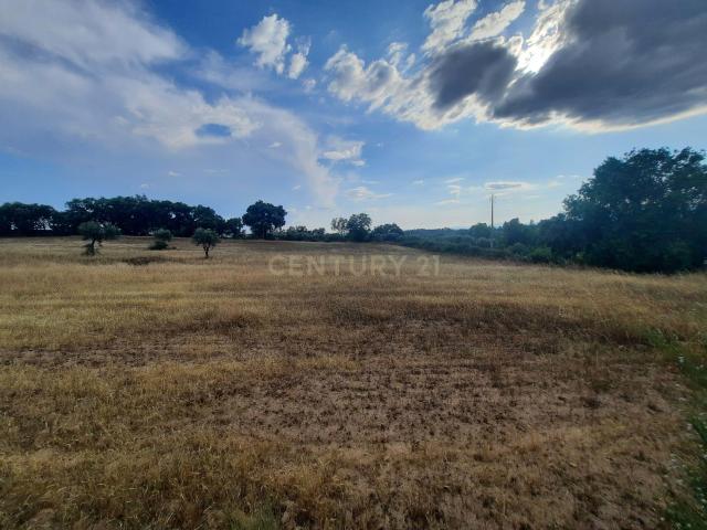 Terreno venda em Castelo Branco, Idanha-a-nova