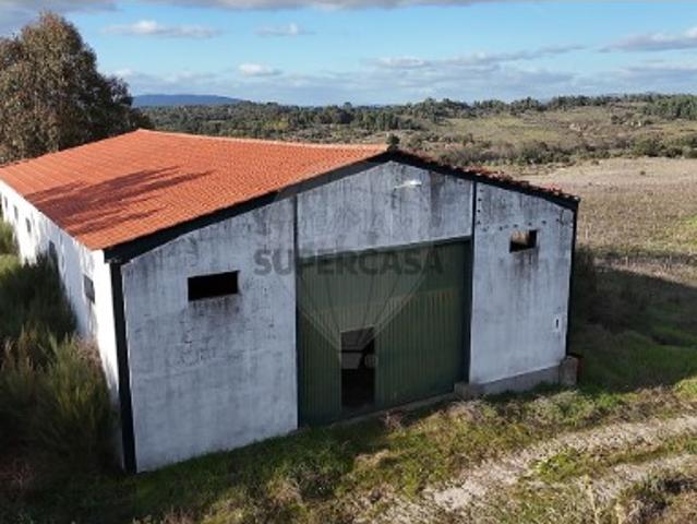 Terreno venda em São Miguel de Acha, Idanha-a-Nova