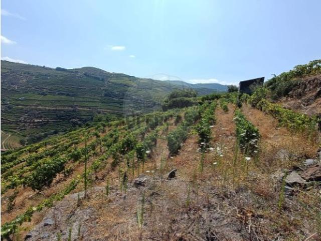 Terreno venda em Santa Marta De Penaguião, Vila Real