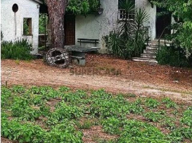 Terreno venda em São Miguel de Vila Boa, Sátão