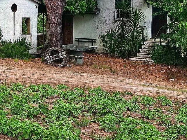 Terreno venda em Rio de Moinhos, Sátão
