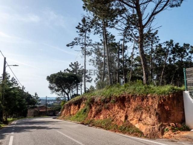 Terreno venda em Tavarede, Figueira da Foz