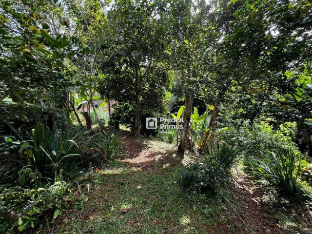 Terreno venda em Região Geográfica Imediata de Nova Friburgo, Nova Friburgo