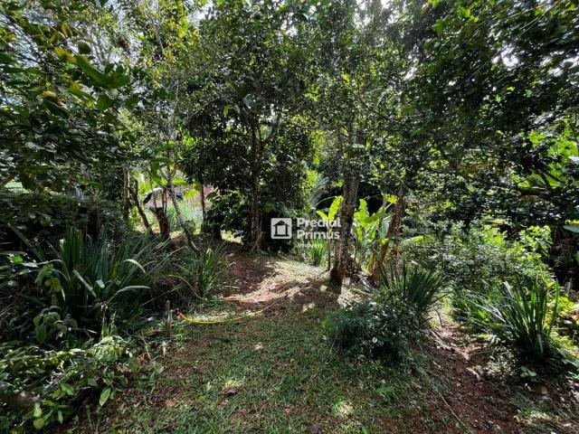 Terreno venda em Região Geográfica Imediata de Nova Friburgo, Nova Friburgo