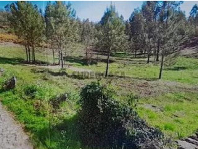 Terreno venda em Foio, Boalhosa