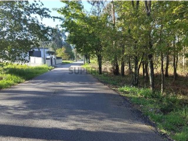 Terreno venda em São Pedro de Castelões, Vale de Cambra