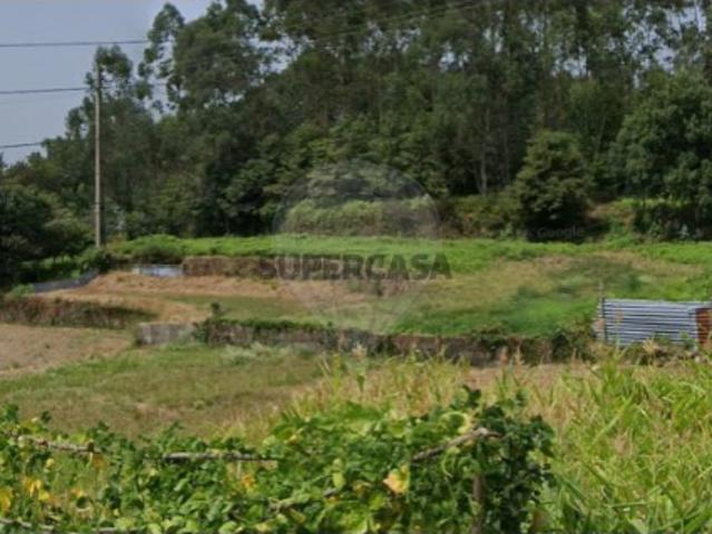 Terreno venda em São Pedro de Castelões, Vale de Cambra