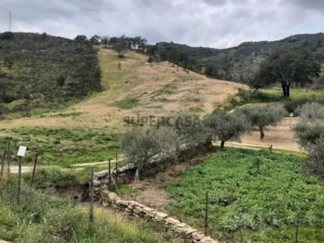 Terreno venda em Mirandela, Bragança