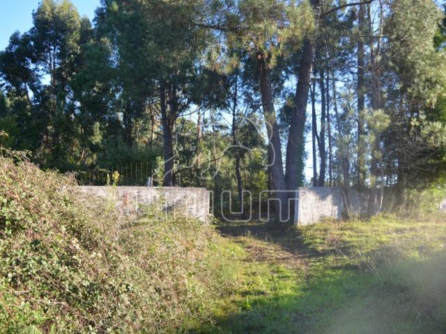 Terreno venda em Viana Do Castelo