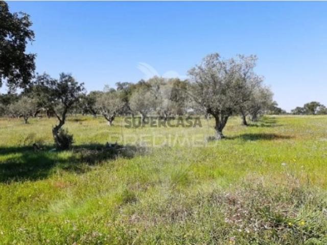Terreno venda em Odemira, Beja