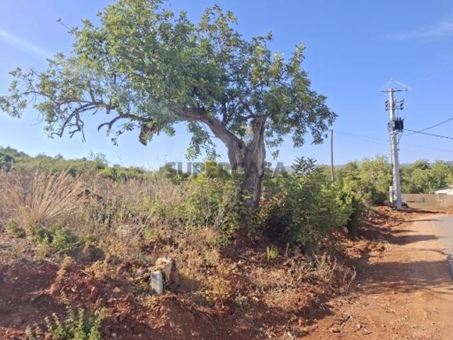 Terreno venda em Cabeço da Câmara, Loulé