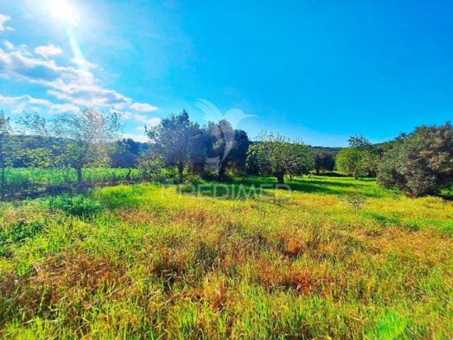 Terreno venda em Loulé, Faro