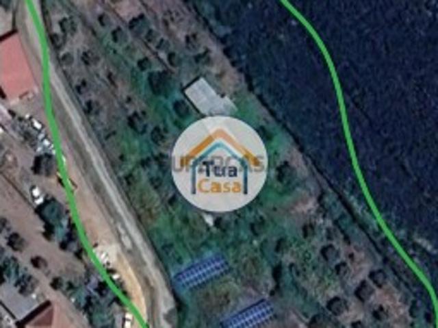 Terreno venda em Castelo Branco