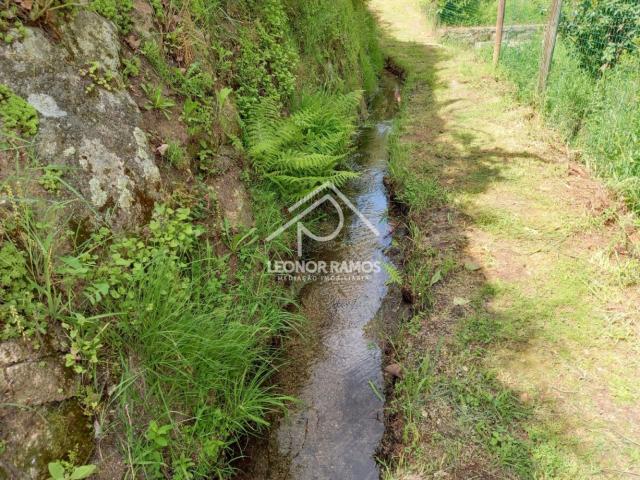 Terreno venda em Castelo Branco