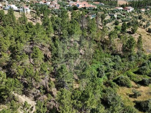 Terreno venda em São Vicente da Beira, Castelo Branco