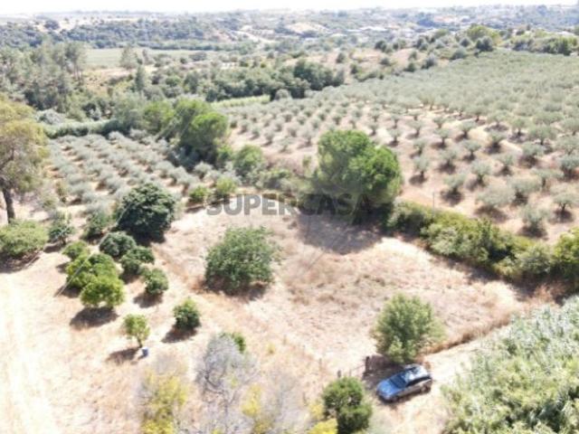 Terreno venda em Comeiras de Baixo, Santarém
