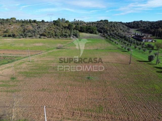 Terreno venda em Santarém