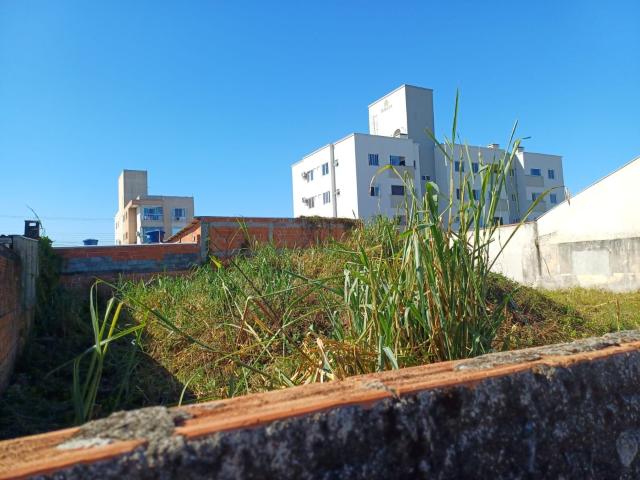 Terreno venda em Região Geográfica Imediata de Itajaí, Itajaí