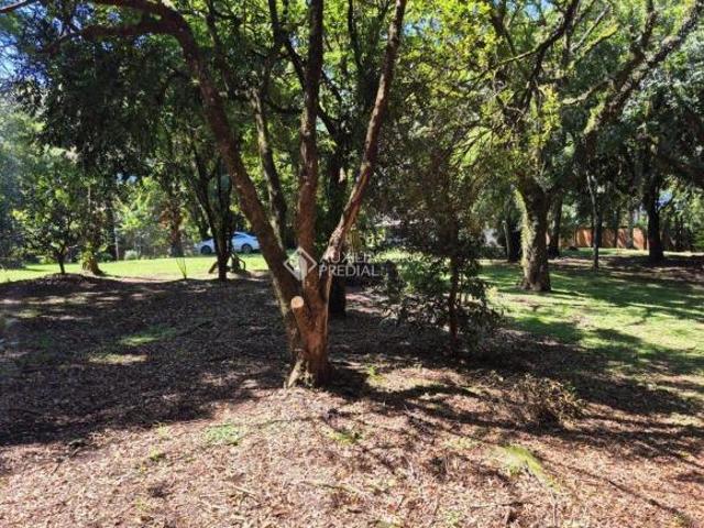 Terreno venda em Região Geográfica Imediata de Caxias do Sul, Caxias do Sul