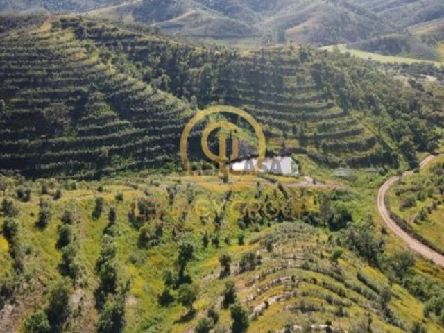 Terreno venda em Saboia, Odemira