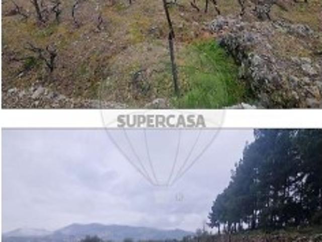 Terreno venda em Sabrosa, Vila Real