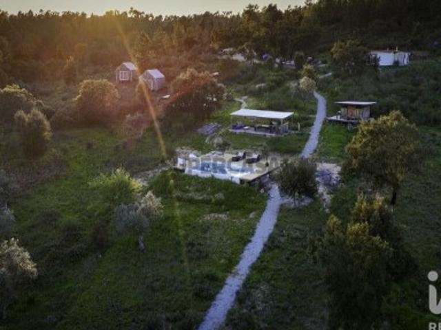 Terreno venda em Castelo Branco
