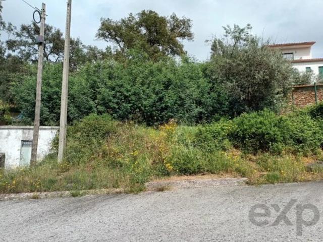 Terreno venda em Castelo Branco